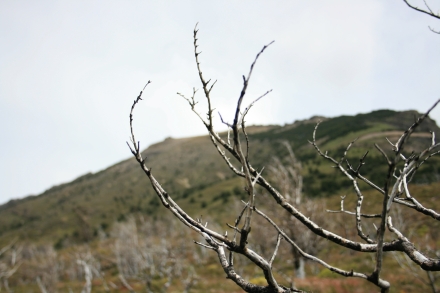 Trekking in Torres del Paine