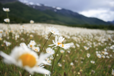 Trekking in Torres del Paine