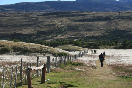 Trekking in Torres del Paine