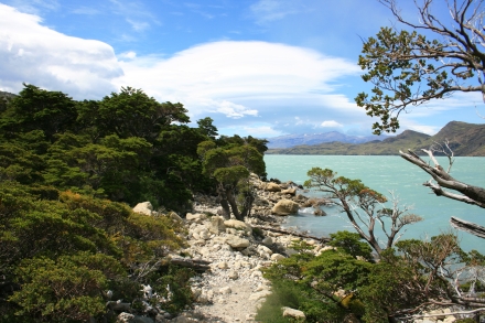 Trekking in Torres del Paine