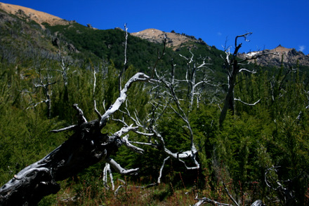 Nahuel Huapi Traverse