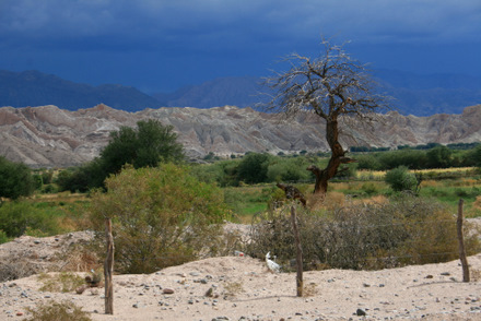 Argentinischer Herbst