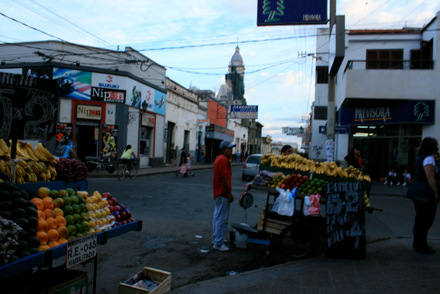 Argentinischer Herbst