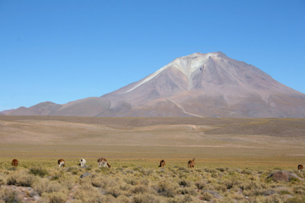 Argentinischer Herbst