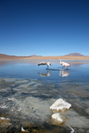 Argentinischer Herbst