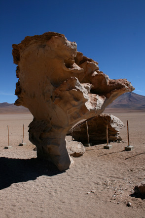 Argentinischer Herbst