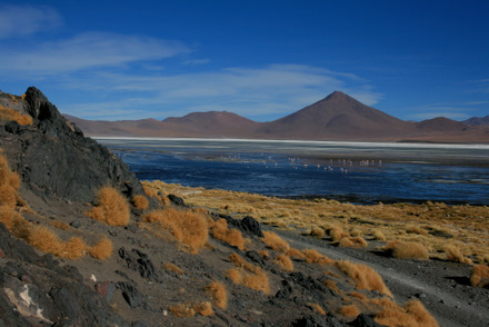 Argentinischer Herbst