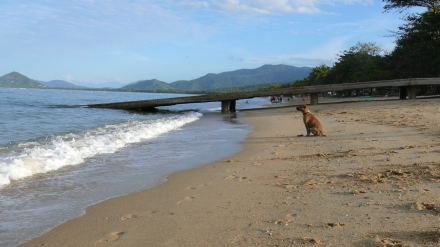Cairns shopping