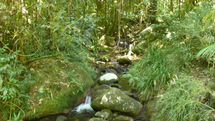 Cairns to Cape Trib