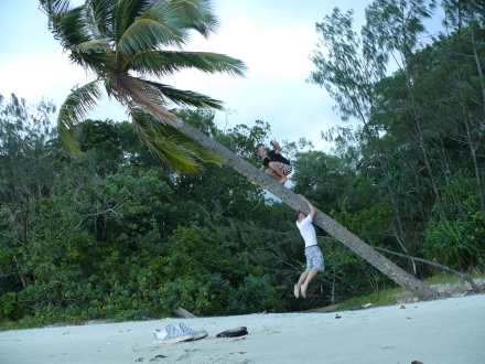 Cairns to Cape Trib