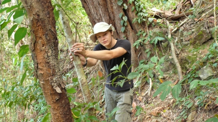 Cairns to Cape Trib