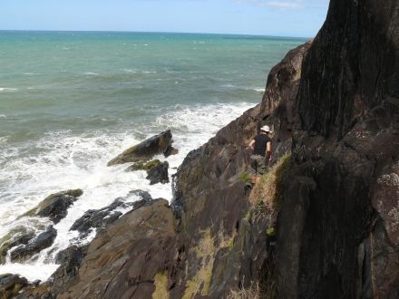 Cairns to Cape Trib