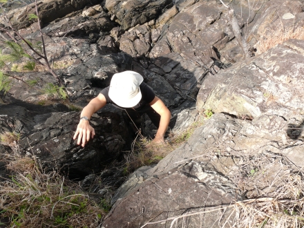 Cairns to Cape Trib