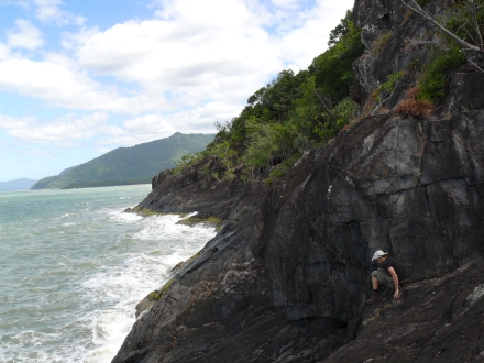 Cairns to Cape Trib