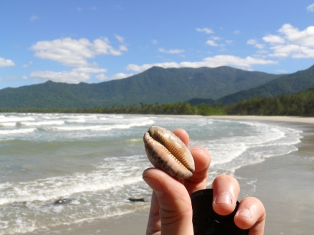 Cairns to Cape Trib