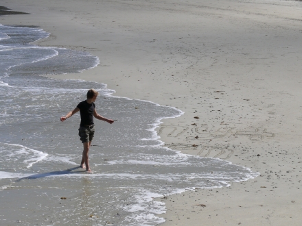 Cairns to Cape Trib