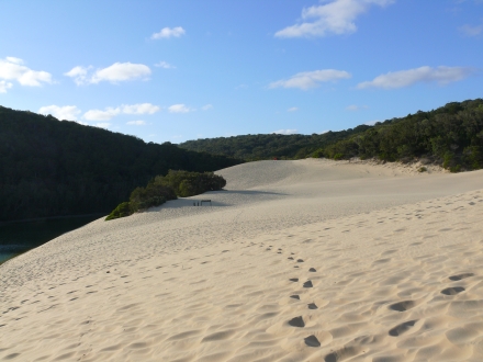 Fraser Island