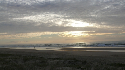 Fraser Island