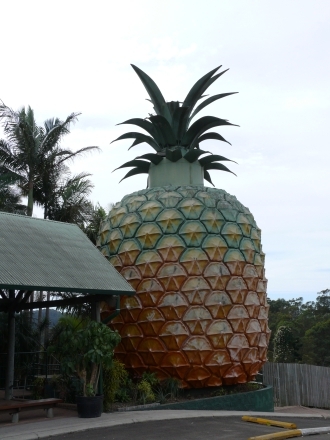 THE BIG PINNAPLE