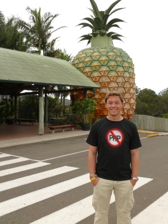 THE BIG PINNAPLE