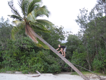 Cairns to Cape Trib