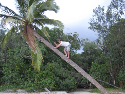 Cairns to Cape Trib