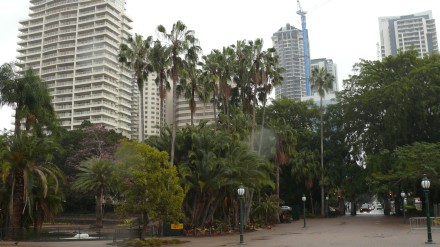 Brissie to Syd
