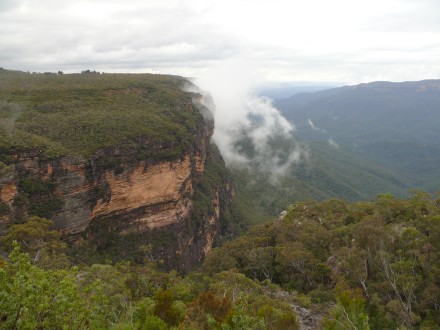 Brissie to Syd