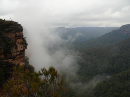 Brissie to Syd
